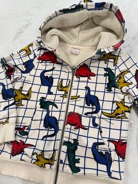 Hanna Andersson Dinosaur Sweatshirt 6-7